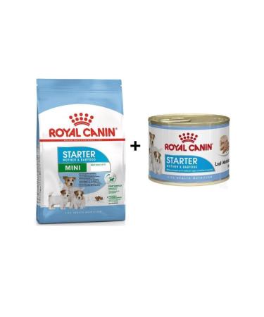 Royal Canin Mini Starter Puppy Food 3 Kg + 1 Wet Food
