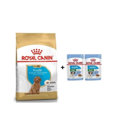 Royal Canin Poodle Puppy Dog Food 3 Kg + 2 Pieces Wet Food