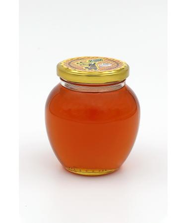 Amesia Pure Honey 450 g - Buy Online on GoSupps.com