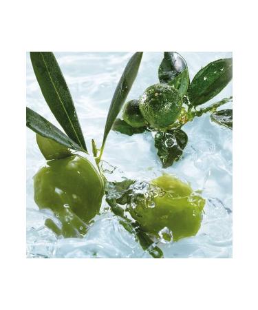 Yves Rocher Shower Gel - Olive Orange - 200ml - Buy Online on GoSupps.com