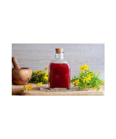 petlovebutik 100% Handmade Ozonated Natural St. John's Wort Oil 100 Ml
