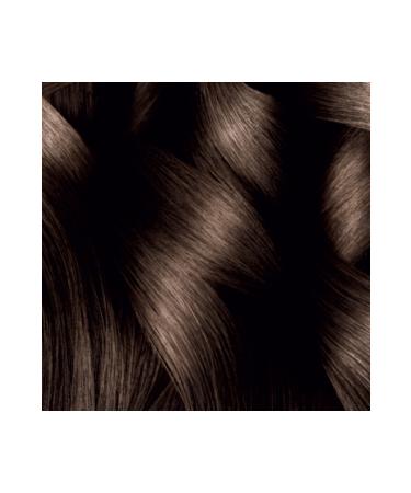 Garnier Striking Colors Hair Dye Intense Brown No. 4.0 - Buy Online on GoSupps.com