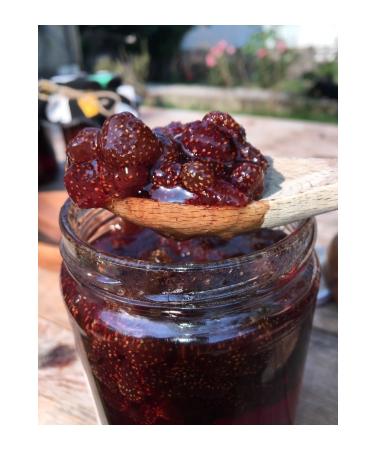 Atomex Multigrained Wild Strawberry Jam (Net 800-900 gr) - Buy Online on GoSupps.com