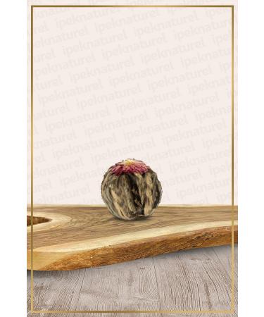 Silk Natural Jasmine Ball Echinacea Grain Jasmine Purple Jasmine Jasmine Tea Jasmine Flower 1 Piece