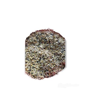 han melipetstore 14 Types of Seeds for Germination 2kg (for germination) - Buy Online on GoSupps.com