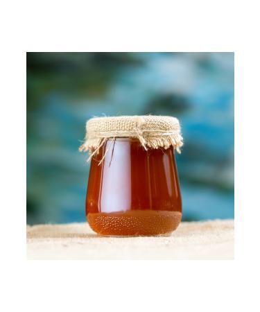 Atomex Pine Honey (500 Gr)