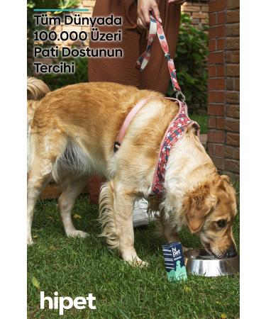 HiPet Liquid Probiotic Dog Probiotic 50 ml - Buy Online on GoSupps.com