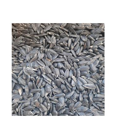 M&H Oil Sunflower Seeds Chicken Pigeon Cockatiel Food 3 kg