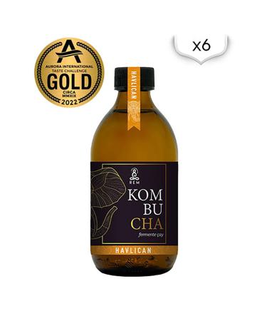 REM Kombucha Galangal 300 ml X 12 Pcs