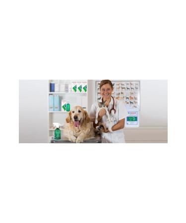 Dr. Animal Wound and Skin Care Solution 1 Liter - Buy Online on GoSupps.com