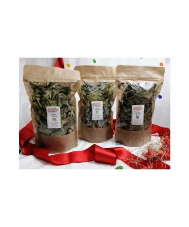 Healing Leaves Series for Natural Tea Lovers from the Opposite Village - (Fig White Mulberry and Walnut)