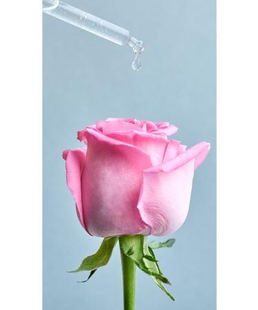 NIVEA Aqua Rose Milk & Tonic with Organic Rose Water 200ml Effective Make-Up Remover - Buy Online on GoSupps.com