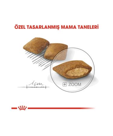 Royal Canin Ccn Mini Exigent Adult Dog Food 3 Kg - Buy Online on GoSupps.com