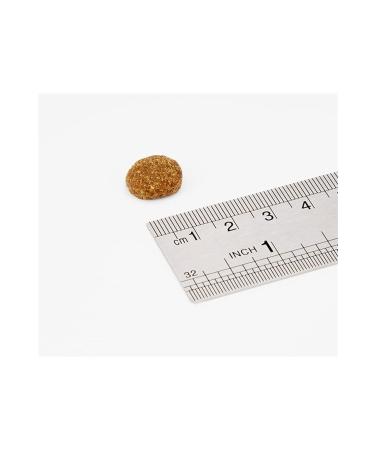 Acana Classics Classic Red Dog Food 2 Kg - Buy Online on GoSupps.com