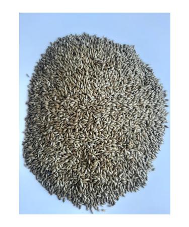 M&H Plain Canary Food Quality Light (2 Kilos)