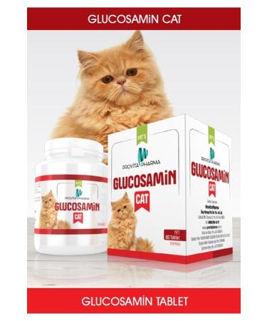 PROVITA PHARMA Glucosamine Cat 60 Tab.