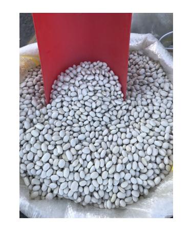 LocalOrganic Elaz Local Maden Village Beans 1 Kg