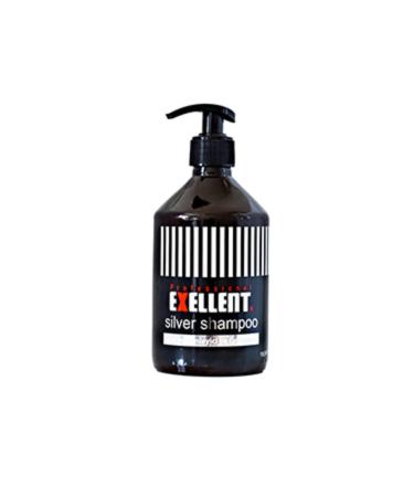 EXELLENT 500 ml Silver Purple Shampoo