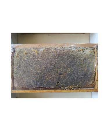 OZMU HONEY Thyme Honeycomb Lath Honey 3 100gr