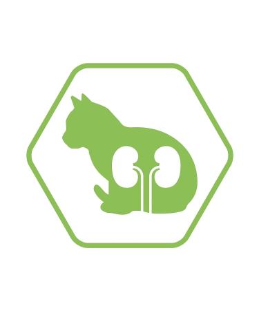 Purina Proplan Sterilized Salmon Cat Food 1.5 Kg - Buy Online on GoSupps.com