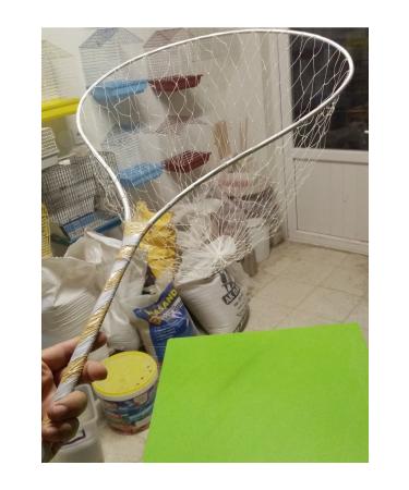 Dogus Bird House Pigeon Catching Net