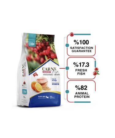 CARNI LIFE Cranberry Low Grain Salmon-orange (puppy) Puppy Mini 2.5 Kg