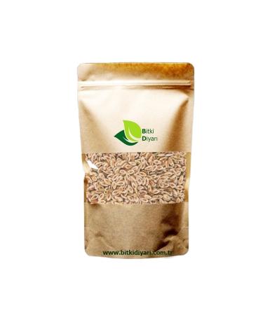 Plantland Carnation Seed 500gr