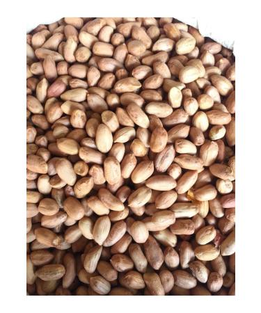 CHEMIST PISTACHIO AND NUTS Raw (Unroasted) Large Size Peanut 2000gr