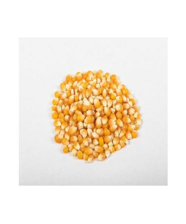 Asenya Grain Corn 10 Kg Feed Corn Feed Corn Animal Feed Corn Feed