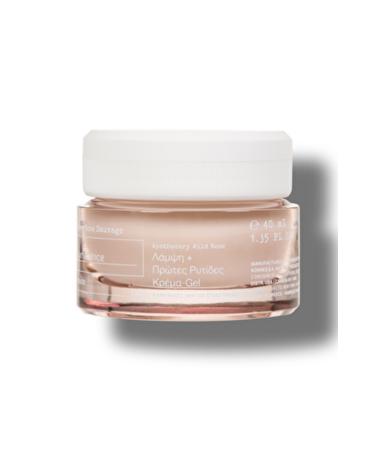 Korres Apothecary Wild Rose Day-brightening Gel-cream 40ml normal-combination Skin  - Buy Online on GoSupps.com