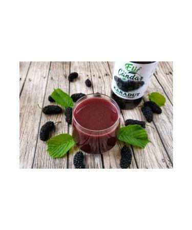 EL F CANDAR Black Mulberry Juice Concentrate (with sugar) (1000ml)