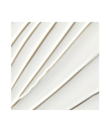 Kiehl's Ultra Facial 24 Hour Moisturizer Spf30 Daily Cream Against Cold Weather and Sun Rays 50 ML - Buy Online on GoSupps.com