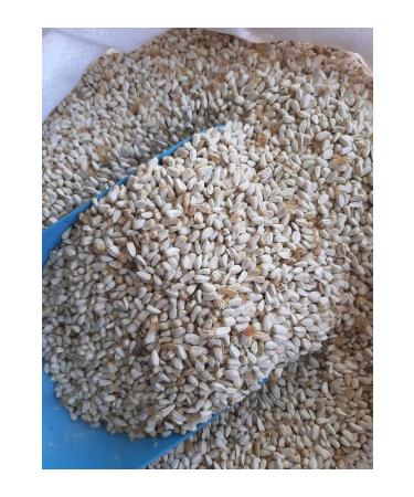 M&H Safflower Seed Pigeon Cockatiel Food (4 kg)