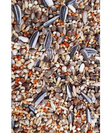 Dal Millet Net Premium Forpus Parrot Food 1250 Gr - Buy Online on GoSupps.com