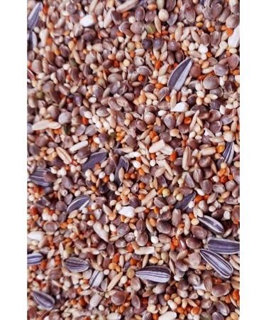 Dal Millet Net Premium Forpus Parrot Food 1250 Gr - Buy Online on GoSupps.com