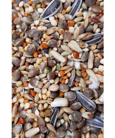 Dal Millet Net Premium Forpus Parrot Food 625gr. - Buy Online on GoSupps.com