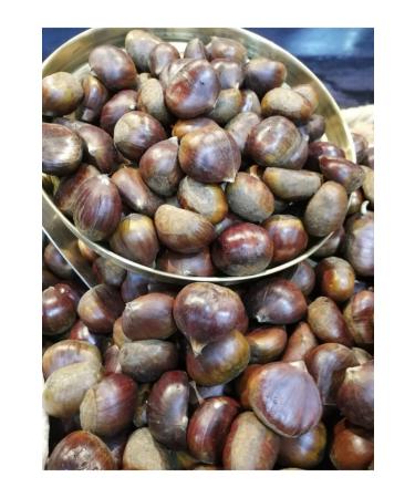 ANTEP RARE DRIED FRUIT Ayd n Sugar Chestnut Black Asagi 1 Kg - Buy Online on GoSupps.com