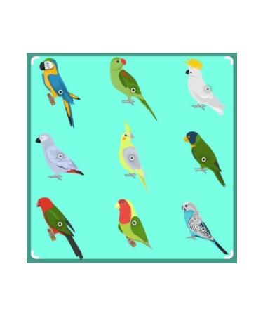 Bereketlimama Peeled - Unhulled Oats 5 Kg - Buy Online on GoSupps.com