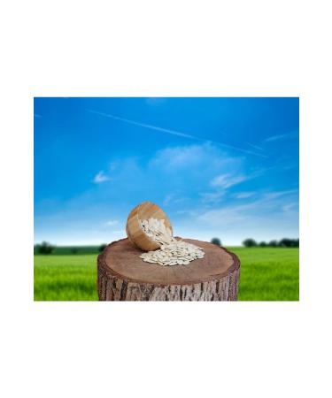 KAVLAK NUTS Raw Pumpkin Seeds 500 Gr