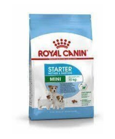 Royal Canin Mini Starter Mini Breed Dog Food for Pregnant Nursing Mothers and Puppies 3 Kg