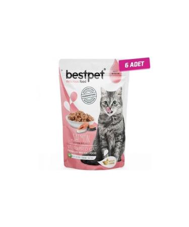 Bestpet 6 Pieces - Best Pet Sterilized Jelly Pouch Salmon Cat Food 85 Gr