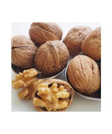 Walnut Thin Shell Oily New Harvest Organic 1 Kg