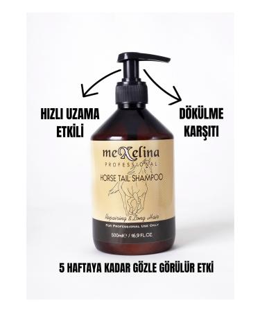 Mexelina Horsetail Oil Essence Hair Growth Care Shampoo 500ml