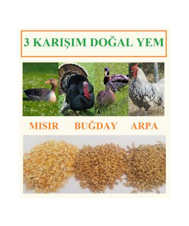 Ekodo a Wheat Cracked Corn Barley Mixture 5 Kg Chicken Feed Poultry Feed Goose Feed Natural Feed Poultry Feed