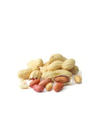 TO LU Shelled Pistachios 1 kg