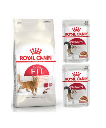 Royal Canin Adult Fit 32 Cat Food 4 kg + 2 Pieces Wet Cat Food