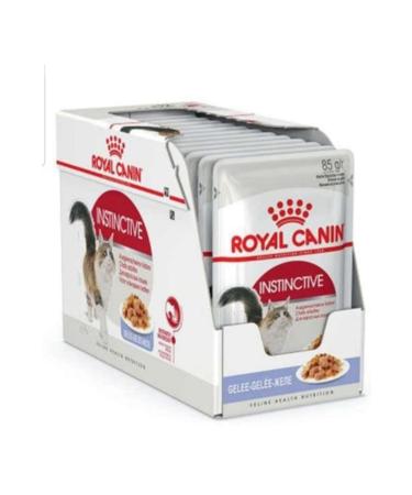Royal Canin Instinctive Jelly Adult Canned Pouch 85 gr x 12 Pieces