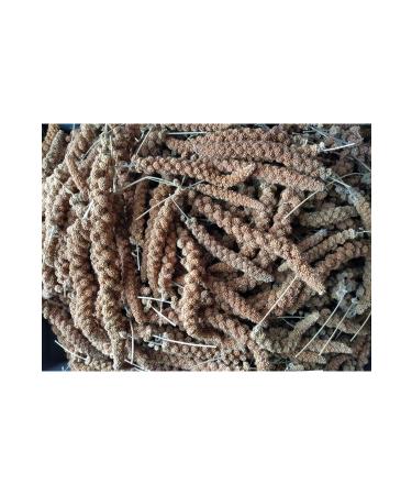 han melipetstore Natural Red Branch Millet Bird Food 500 Gr - Buy Online on GoSupps.com