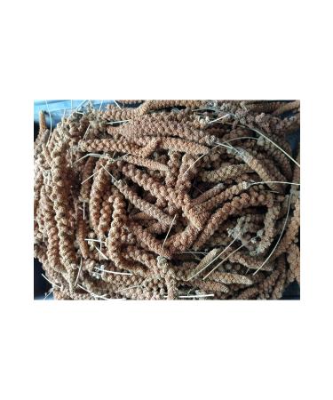 han melipetstore Natural Red Branch Millet Bird Food 500 Gr - Buy Online on GoSupps.com