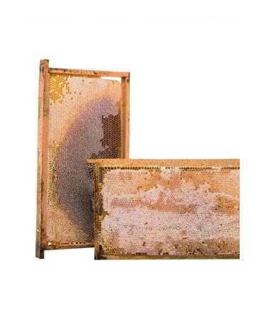 savsateli organic delicatessen S les Comb Honey (1 Kg)